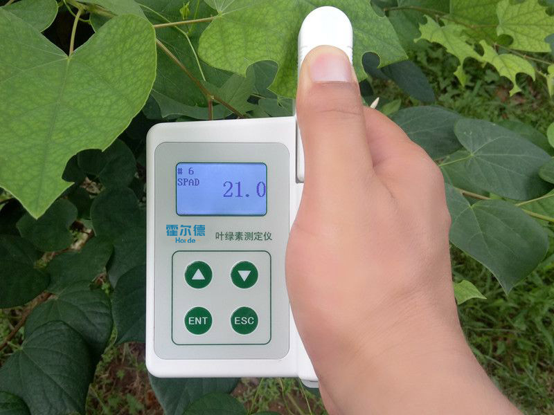 葉綠素含量測定儀具備哪些功能？