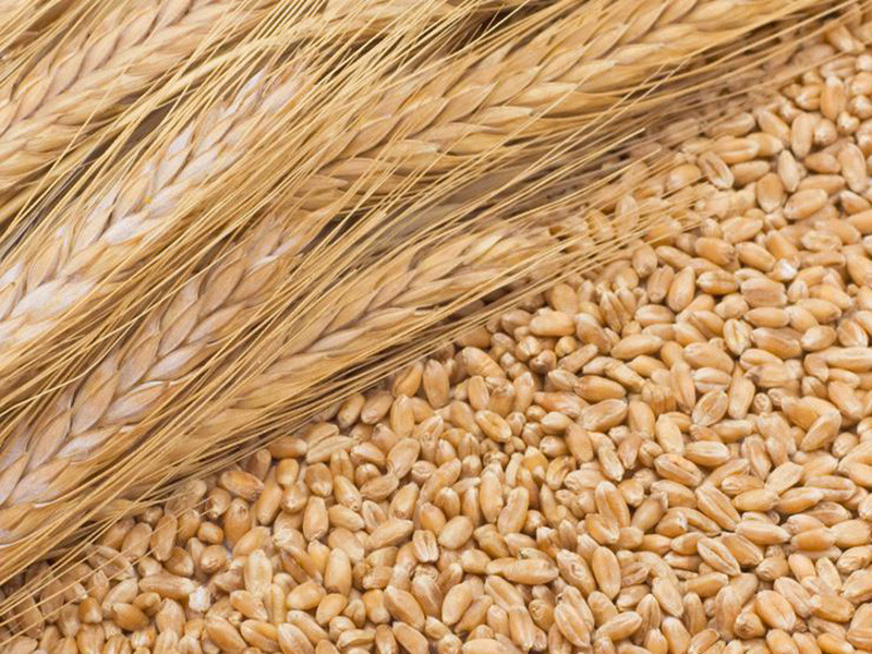 糧食重金屬檢測儀可以檢測糧食制品嗎？