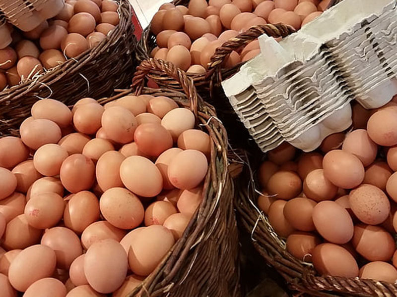 雞蛋藥物殘留檢測儀可用于禽蛋中的獸藥檢測 雞蛋藥物殘留檢測儀可用于禽蛋中的獸藥檢測