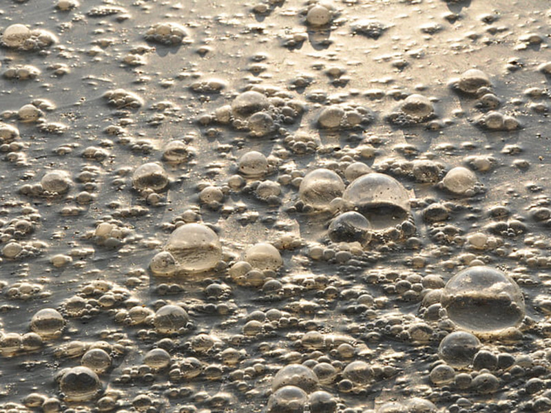 在線總氮監(jiān)測(cè)儀可監(jiān)測(cè)生活廢水 在線總氮監(jiān)測(cè)儀可監(jiān)測(cè)生活廢水