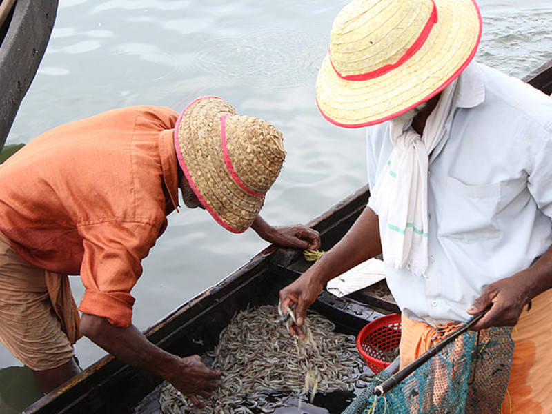 余氯檢測儀對水產養殖有什么幫助 余氯檢測儀對水產養殖有什么幫助
