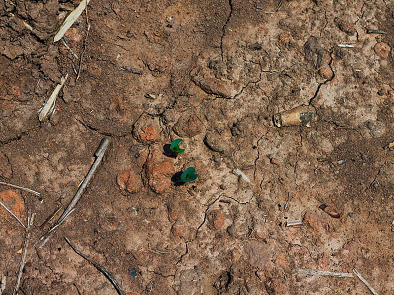 土壤檢測費用一般是多少？
