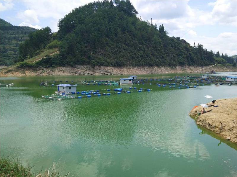 氨氮超標的解決方法