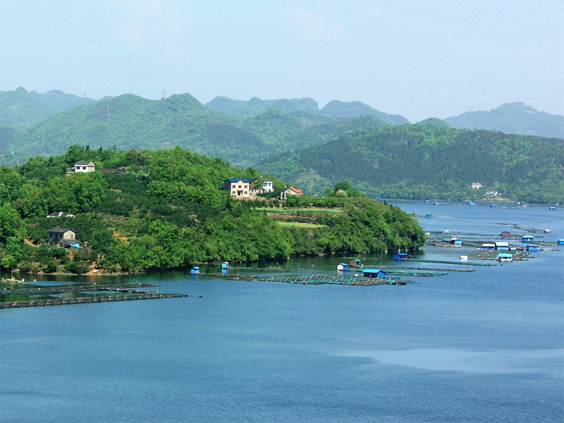 cod快速檢測儀推薦(詳解cod快速檢測儀工作原理)