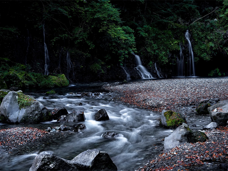 水質生物毒性檢測儀作用（生物毒性檢測儀功能特點）