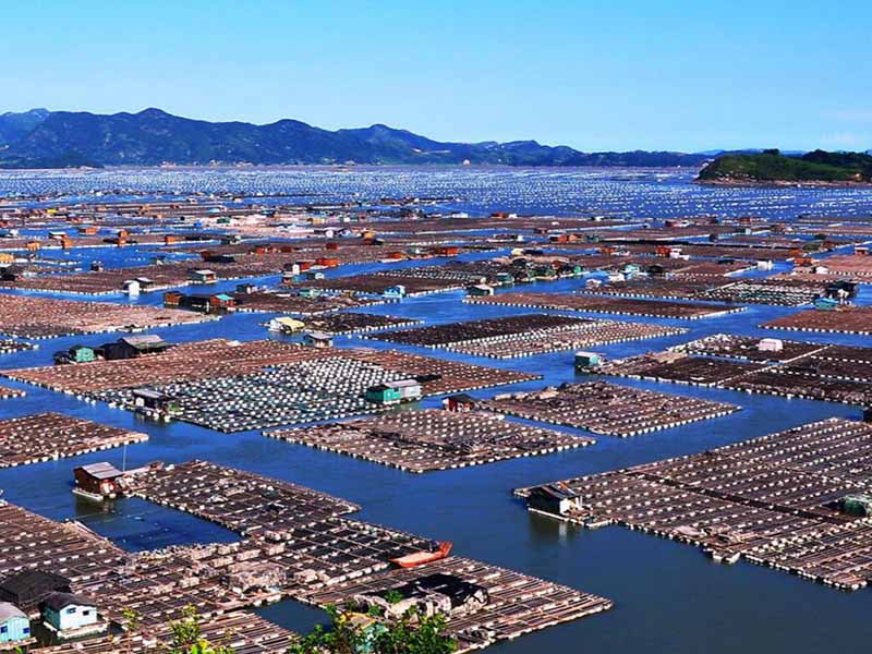 水產養殖二氧化氯使用方法（水產養殖二氧化氯使用誤區）