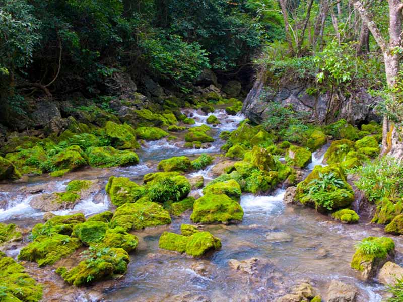 消毒劑的國家標(biāo)準(zhǔn) 消毒劑的國家標(biāo)準(zhǔn)