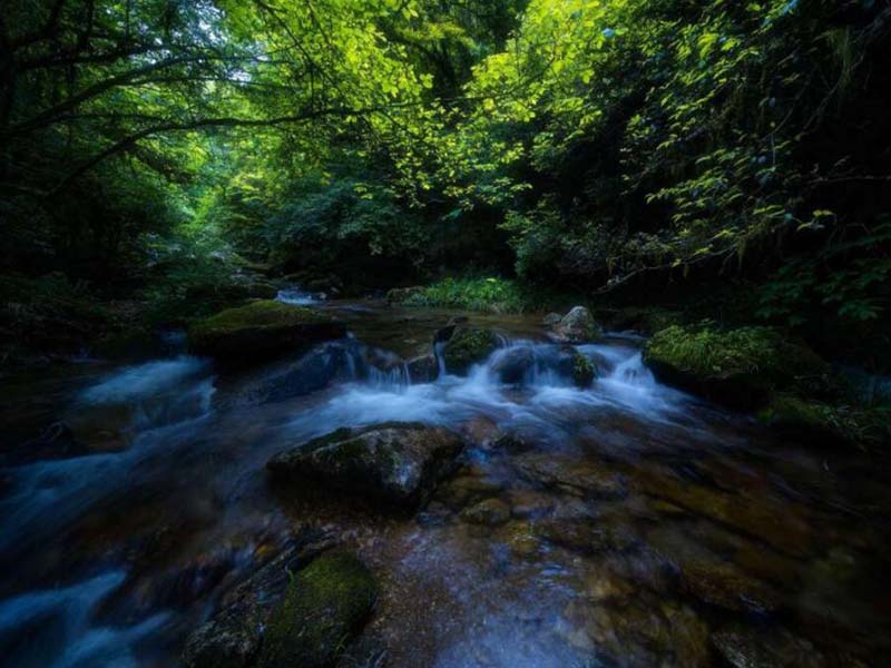 氨氮在線水質分析儀的優點 氨氮在線水質分析儀的優點