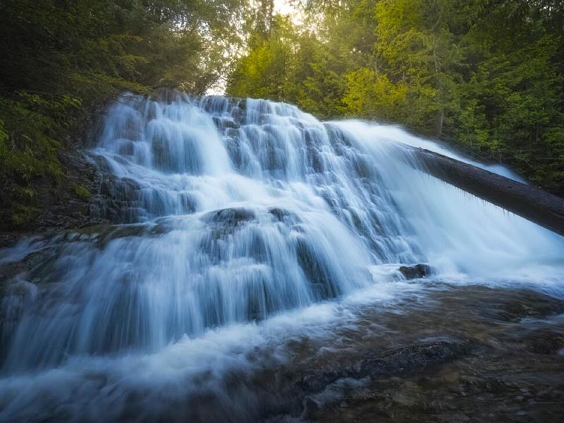 水質(zhì)生物毒性檢測儀應(yīng)用的必要性 水質(zhì)生物毒性檢測儀應(yīng)用的必要性