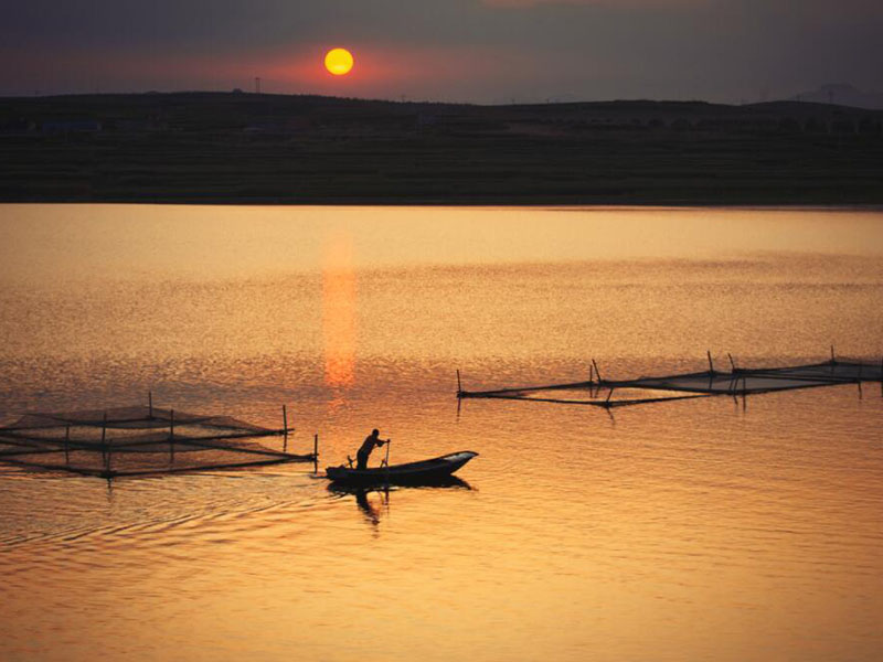 水產(chǎn)養(yǎng)殖水質(zhì)分析儀可以檢測哪些項(xiàng)目