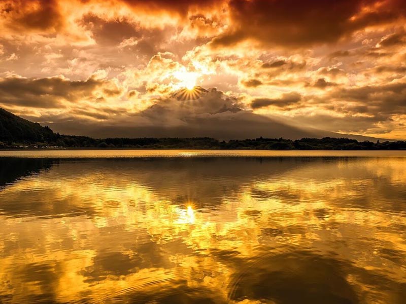 水質(zhì)大腸桿菌在線監(jiān)測儀價格