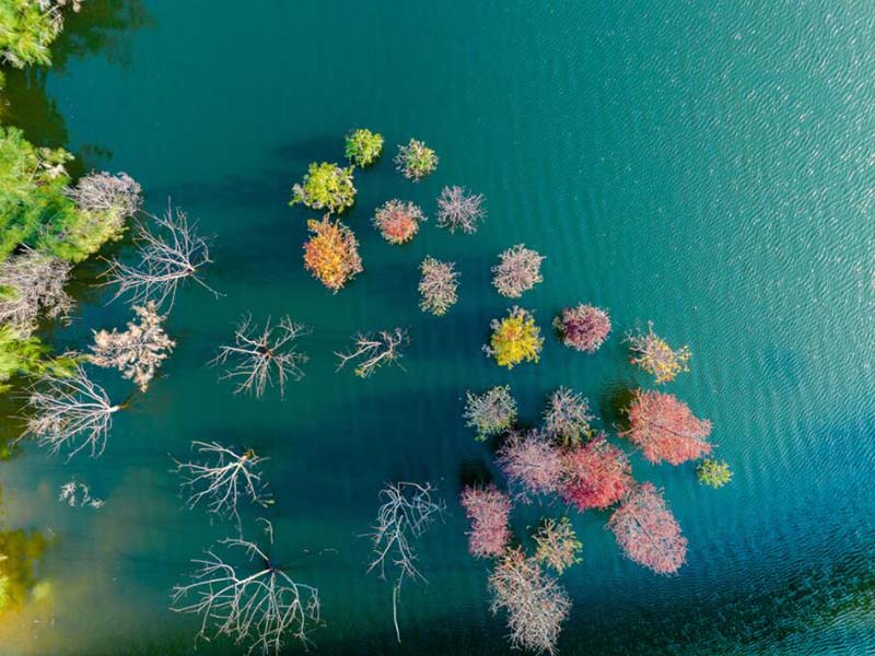 污水出水色度為什么不達(dá)標(biāo)（有效去除污水色度的方法）