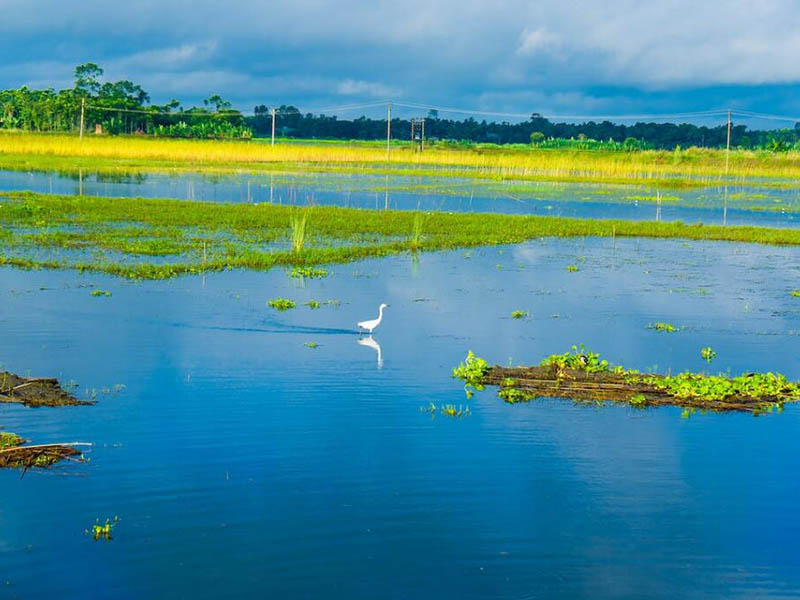 pH傳感器功能特點