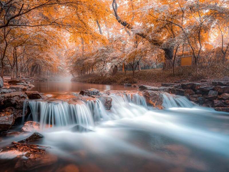 手持式總磷檢測(cè)儀使用方法