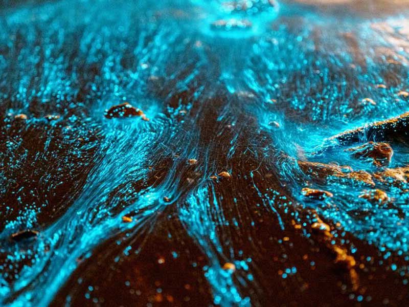 全自動紫外測油儀檢測樣品數量