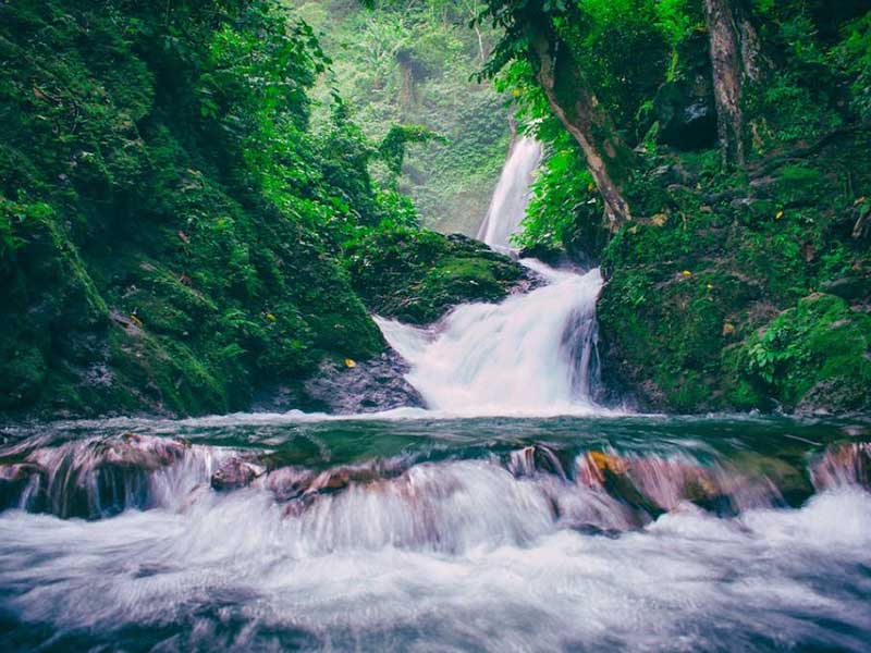 2024年第二季度全國地表水環(huán)境質(zhì)量狀況(地表水主要污染指標(biāo))