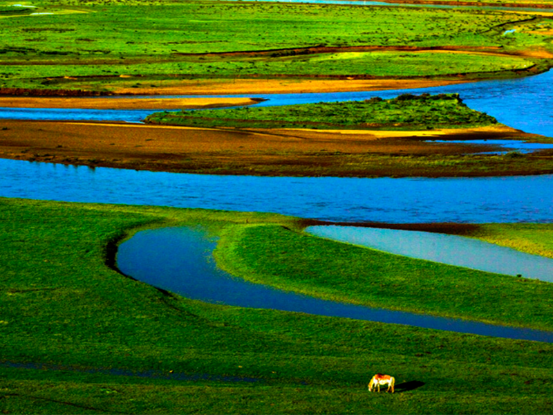 水質總氮超標的原因
