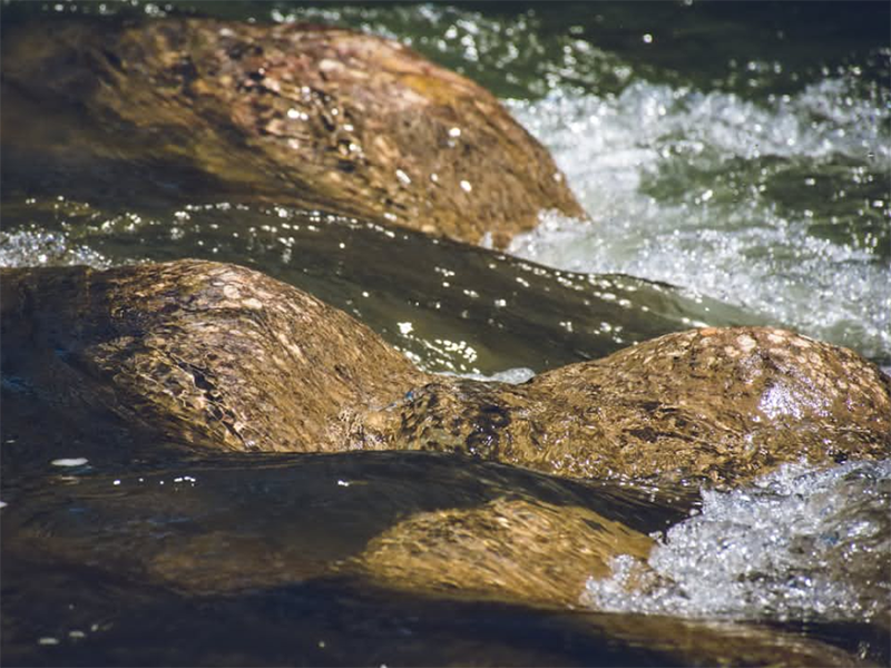 CODcr檢測儀設(shè)計依據(jù)（CODcr檢測儀應(yīng)用場景）