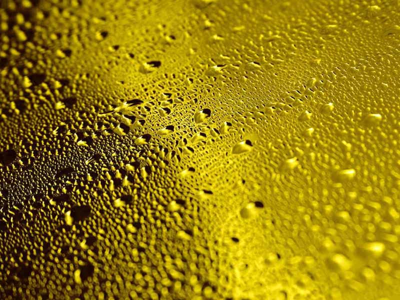 食用油酸價(jià)檢測儀功能特點(diǎn)(食用油酸價(jià)檢測儀說明書)