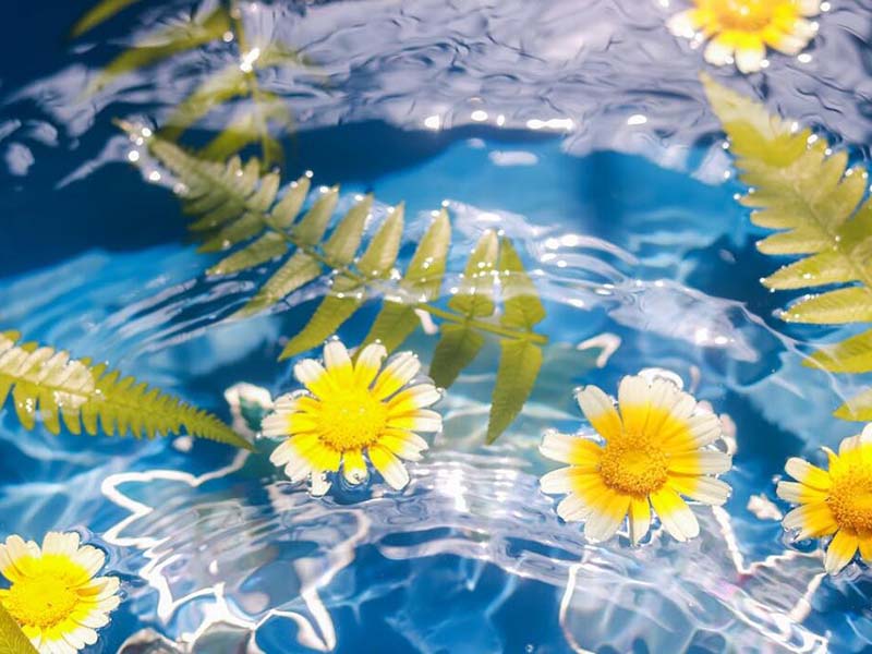 水環境中微塑料的生態風險（微塑料對水環境的影響）