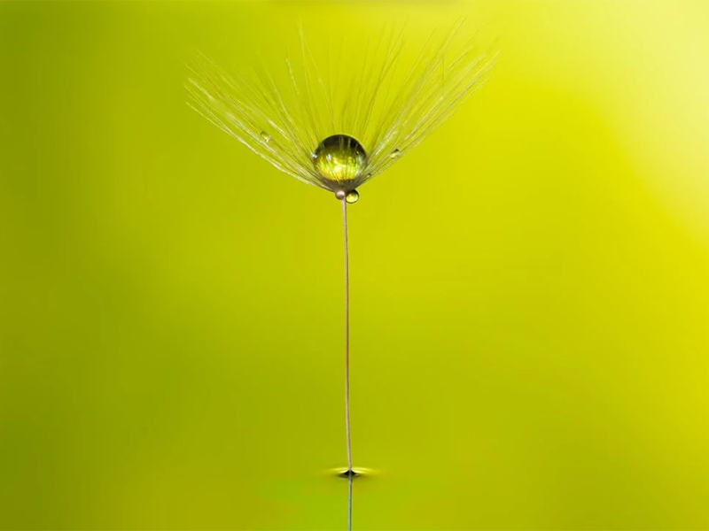 在線氨氮分析儀檢定規程（在線氨氮分析儀安裝、使用及維護）