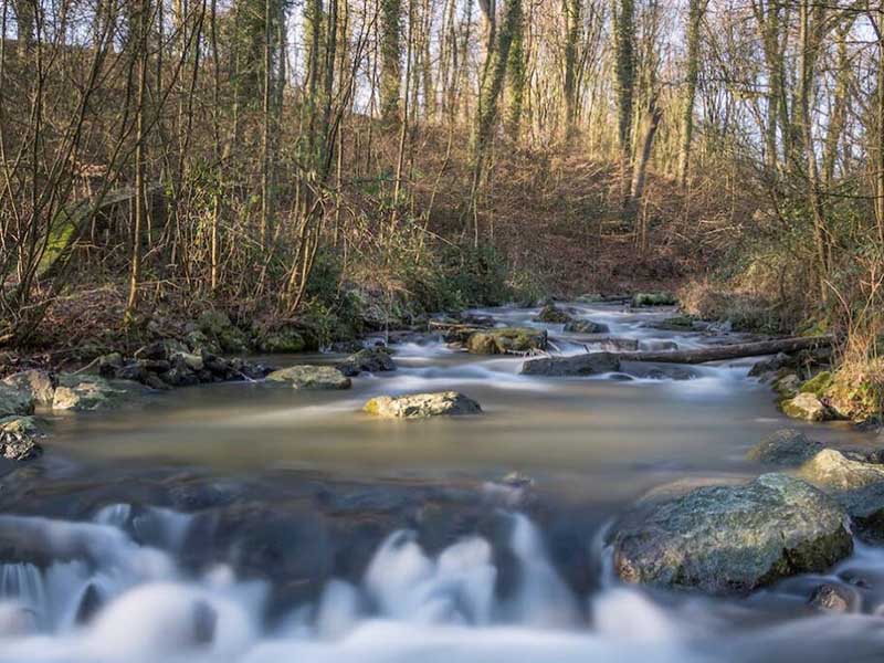 【案例】廣州某企業人為干擾污水監測設施致數據失真,管理員獲刑