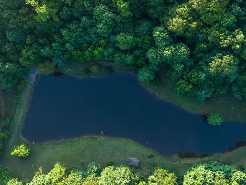 水質(zhì)檢測(cè)氨氮大于總氮是什么原因(氨氮與總氮的關(guān)系)