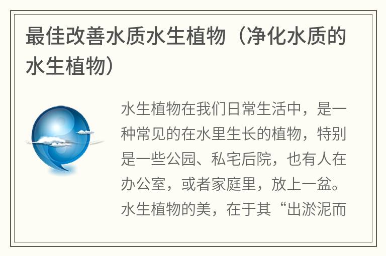 最佳改善水質水生植物(凈化水質的水生植物) 最佳改善水質水生植物(凈化水質的水生植物)