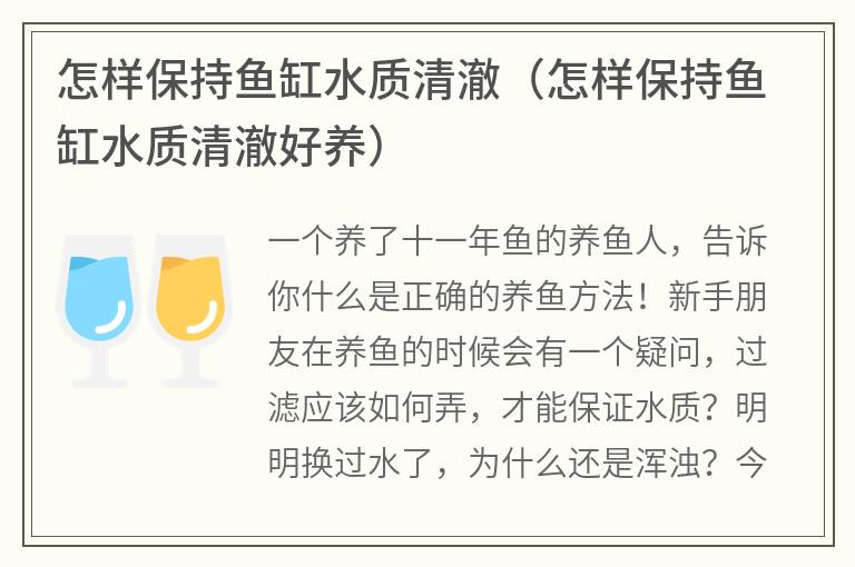 怎樣保持魚缸水質清澈（怎樣保持魚缸水質清澈好養）