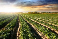 如何區分土壤肥料快速測試儀的優缺點