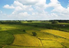 土壤水分測定儀實現農業精細化發展