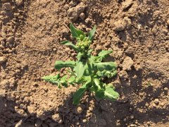 合理施肥土壤測試儀