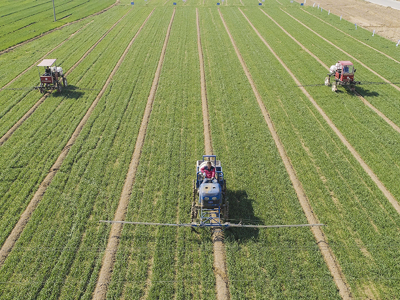 土壤肥力測試儀 土壤肥力測試儀