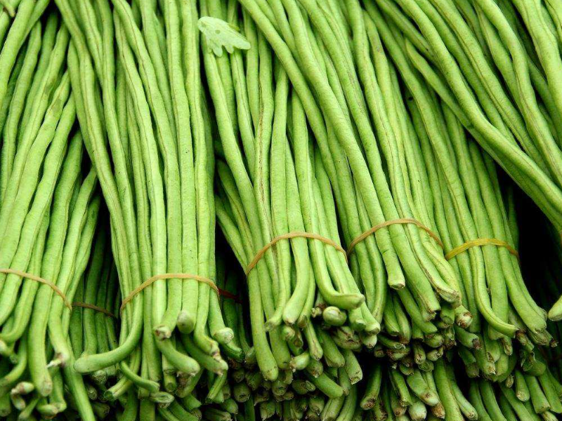 豆角中含有滅蠅胺?怎么解決 豆角中含有滅蠅胺?怎么解決