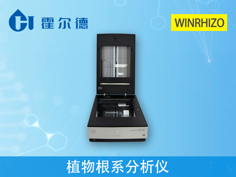 了解植物根系，對(duì)種植有什么幫助