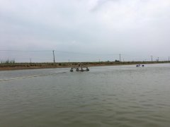 霍爾德便攜式余氯檢測儀，可提前預(yù)防養(yǎng)殖風(fēng)險