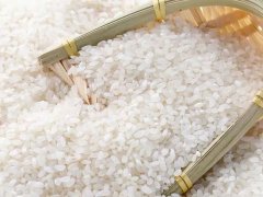 大米重金屬鎘檢測儀，可實現重金屬的快速定量檢測分析