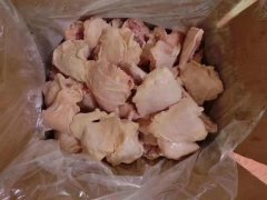 動物疫病診斷儀可以檢測環丙沙星嗎？